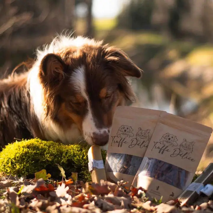 Friandises de poulet chien et chat naturel