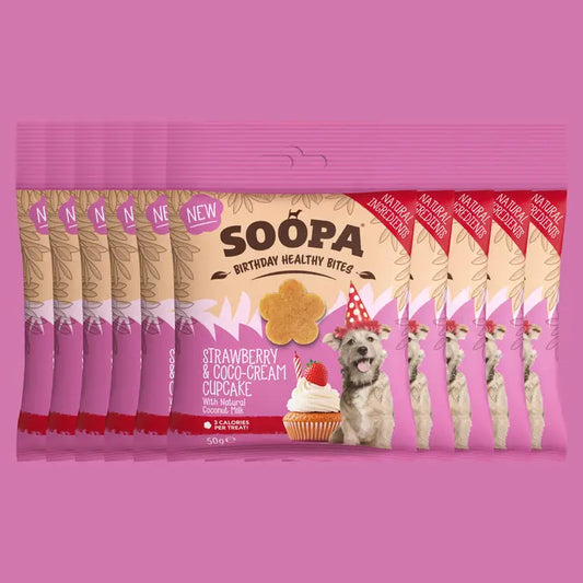 Friandises pour chiens à la fraise et à la crème de coco
