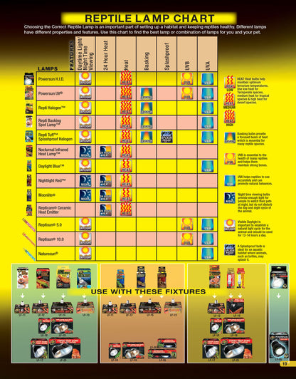 Ampoule halogène chauffante 35w Nano Zoo Med pour terrarium